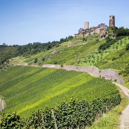 Hotel-restaurant Langen Hotel