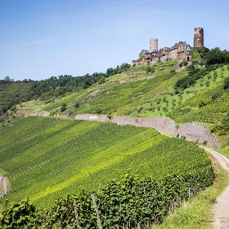 Hotel-restaurant Langen 3*