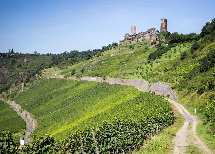 Hotel-restaurant Langen Hotel