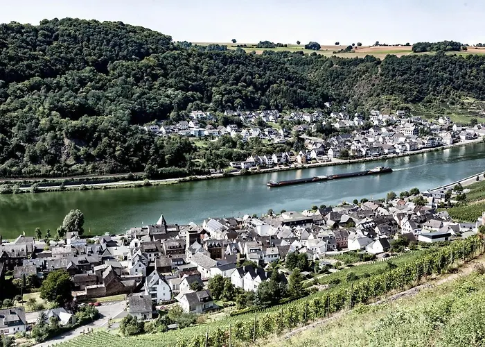 Hotel Hotel-restaurant Langen 3*